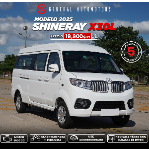 SHINERAY X30L 