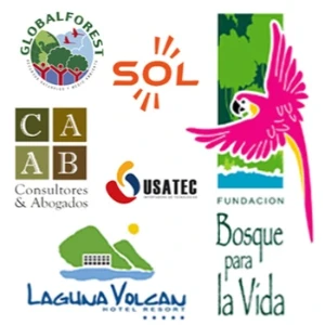 Te diseño el logotipo de tu negocio para que se quede en la mente y el corazón de tus clientes.